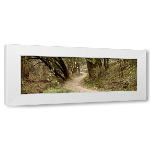 Oak Tree - 50 White Modern Wood Framed Art Print by Blaustein, Alan