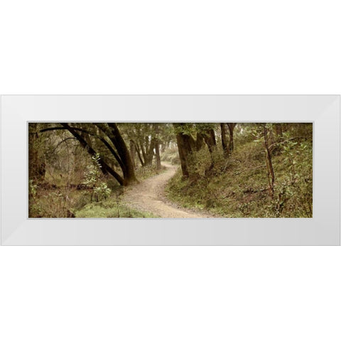 Oak Tree - 50 White Modern Wood Framed Art Print by Blaustein, Alan