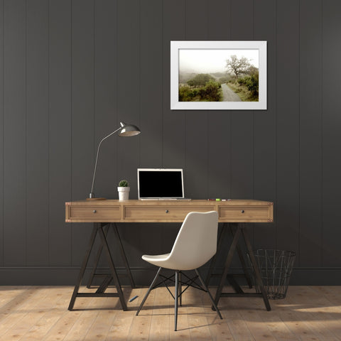 Oak Tree - 44 White Modern Wood Framed Art Print by Blaustein, Alan