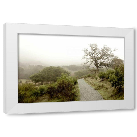 Oak Tree - 44 White Modern Wood Framed Art Print by Blaustein, Alan