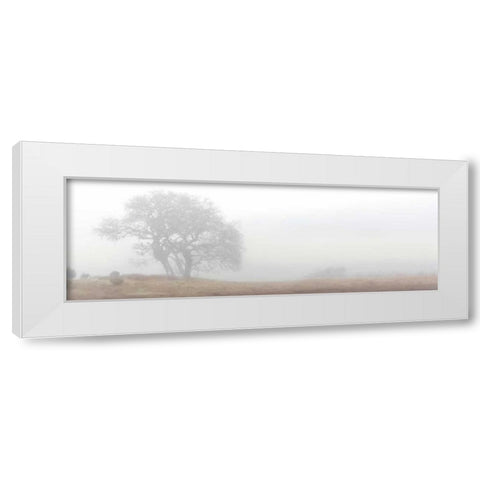 Oak Tree - 14 White Modern Wood Framed Art Print by Blaustein, Alan