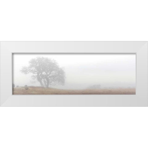 Oak Tree - 14 White Modern Wood Framed Art Print by Blaustein, Alan