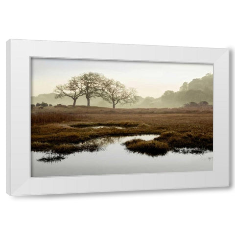 Oak Tree - 65 White Modern Wood Framed Art Print by Blaustein, Alan