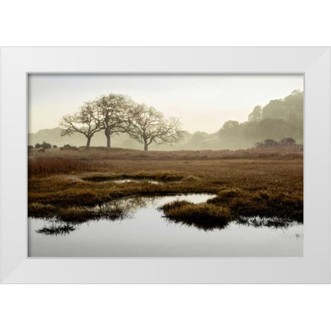 Oak Tree - 65 White Modern Wood Framed Art Print by Blaustein, Alan
