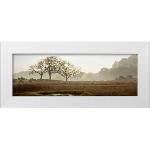 Oak Tree - 64 White Modern Wood Framed Art Print by Blaustein, Alan