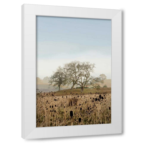 Oak Tree - 67 White Modern Wood Framed Art Print by Blaustein, Alan