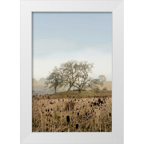 Oak Tree - 67 White Modern Wood Framed Art Print by Blaustein, Alan