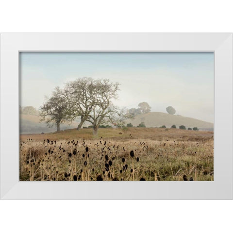 Oak Tree - 68 White Modern Wood Framed Art Print by Blaustein, Alan