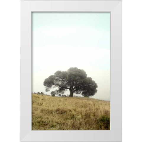 Oak Tree - 52 White Modern Wood Framed Art Print by Blaustein, Alan
