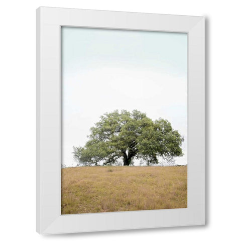 Oak Tree - 73 White Modern Wood Framed Art Print by Blaustein, Alan