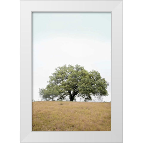 Oak Tree - 73 White Modern Wood Framed Art Print by Blaustein, Alan