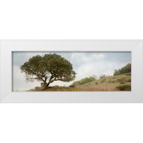 Oak Tree - 76 White Modern Wood Framed Art Print by Blaustein, Alan