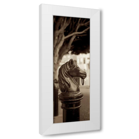Hitching Post Pano - 2 White Modern Wood Framed Art Print by Blaustein, Alan