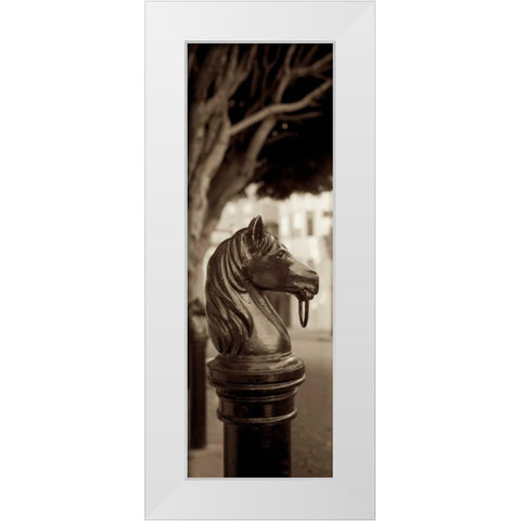 Hitching Post Pano - 2 White Modern Wood Framed Art Print by Blaustein, Alan