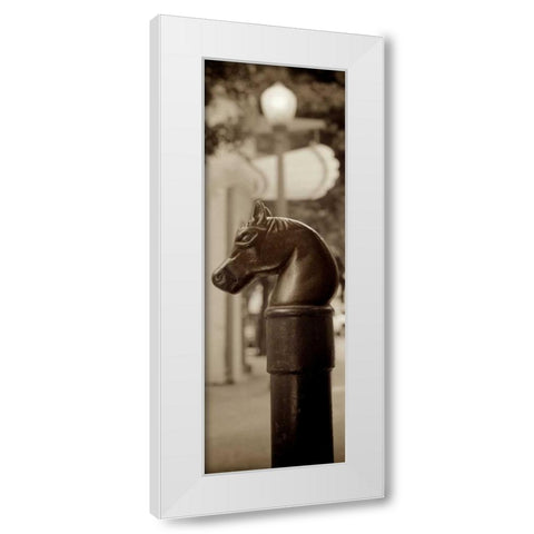 Hitching Post Pano - 1 White Modern Wood Framed Art Print by Blaustein, Alan