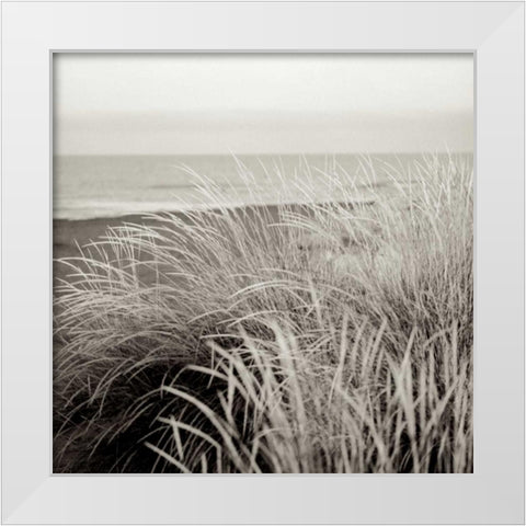 Tuscan Coast Dunes - 2 White Modern Wood Framed Art Print by Blaustein, Alan