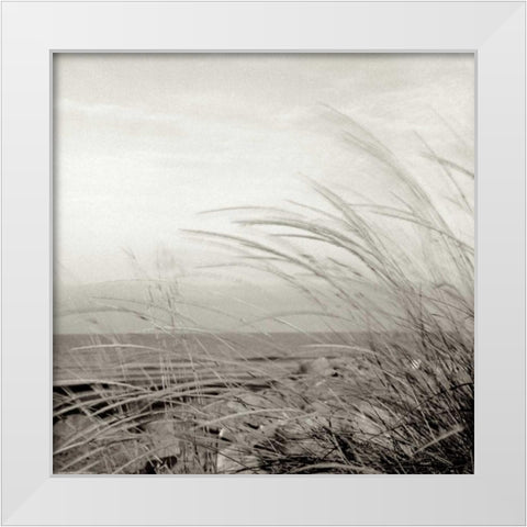 Tuscan Coast Dunes - 1 White Modern Wood Framed Art Print by Blaustein, Alan