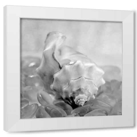 Crystal Cove - 42 White Modern Wood Framed Art Print by Blaustein, Alan