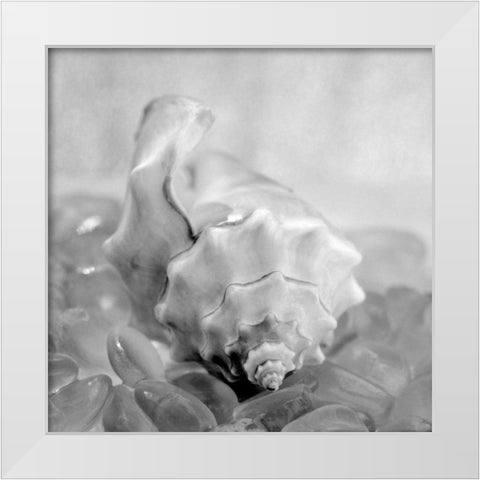 Crystal Cove - 42 White Modern Wood Framed Art Print by Blaustein, Alan