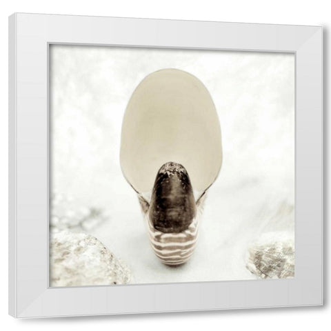 Crystal Harbor - 16 White Modern Wood Framed Art Print by Blaustein, Alan