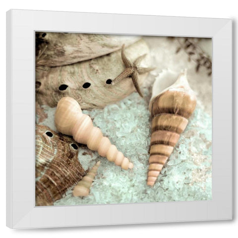 Lagoon Tidepool - 1 White Modern Wood Framed Art Print by Blaustein, Alan
