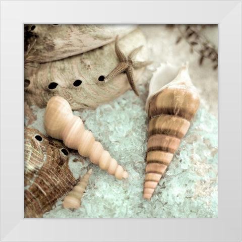 Lagoon Tidepool - 1 White Modern Wood Framed Art Print by Blaustein, Alan