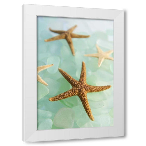 Crystal Cove - 30 White Modern Wood Framed Art Print by Blaustein, Alan