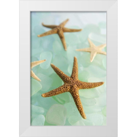 Crystal Cove - 30 White Modern Wood Framed Art Print by Blaustein, Alan