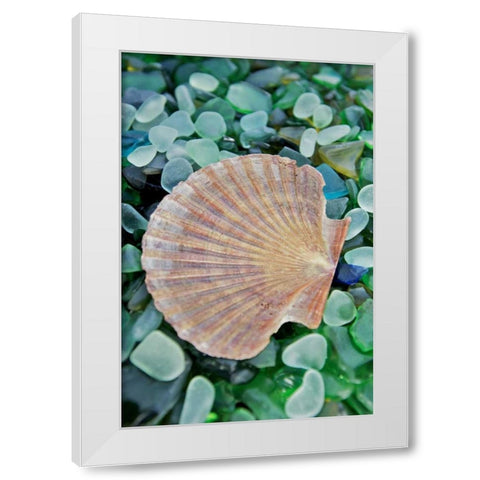 Crystal Cove - 25 White Modern Wood Framed Art Print by Blaustein, Alan