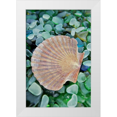 Crystal Cove - 25 White Modern Wood Framed Art Print by Blaustein, Alan