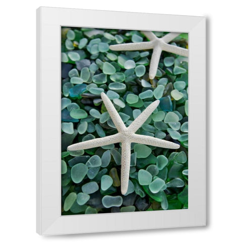 Crystal Harbor - 21 White Modern Wood Framed Art Print by Blaustein, Alan