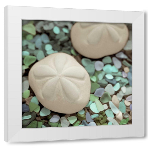 Crystal Harbor - 12 White Modern Wood Framed Art Print by Blaustein, Alan