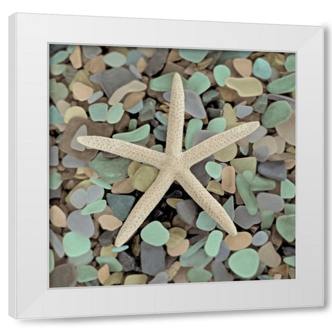 Crystal Harbor - 10 White Modern Wood Framed Art Print by Blaustein, Alan