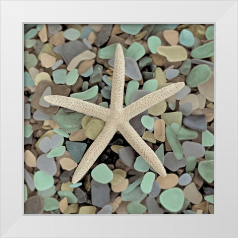 Crystal Harbor - 10 White Modern Wood Framed Art Print by Blaustein, Alan