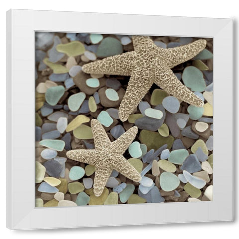 Crystal Harbor - 11 White Modern Wood Framed Art Print by Blaustein, Alan