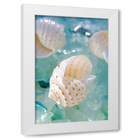 Crystal Cove - 24 White Modern Wood Framed Art Print by Blaustein, Alan