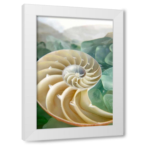Crystal Cove - 27 White Modern Wood Framed Art Print by Blaustein, Alan