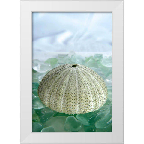 Crystal Harbor - 23 White Modern Wood Framed Art Print by Blaustein, Alan