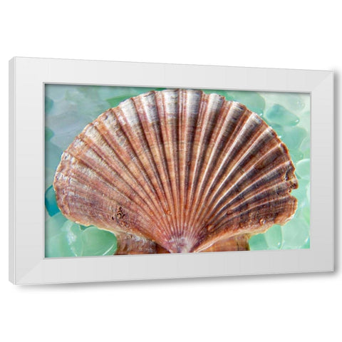 Crystal Harbor - 37 White Modern Wood Framed Art Print by Blaustein, Alan