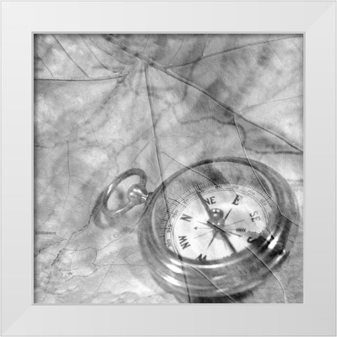 Retro- Compass White Modern Wood Framed Art Print by Blaustein, Alan