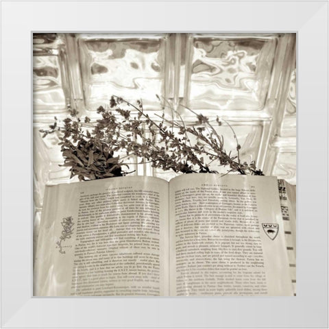 Holiday - 9 White Modern Wood Framed Art Print by Blaustein, Alan