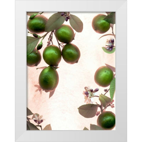 Limes - 1 White Modern Wood Framed Art Print by Blaustein, Alan