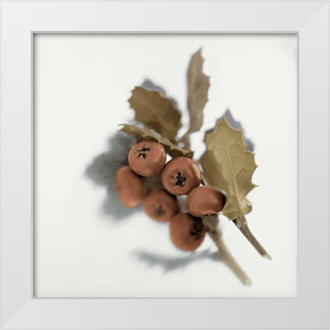 Holiday - 6 White Modern Wood Framed Art Print by Blaustein, Alan