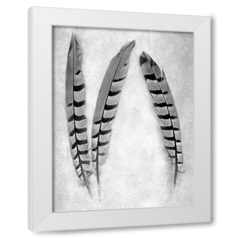 Feather B-W - 1 White Modern Wood Framed Art Print by Blaustein, Alan