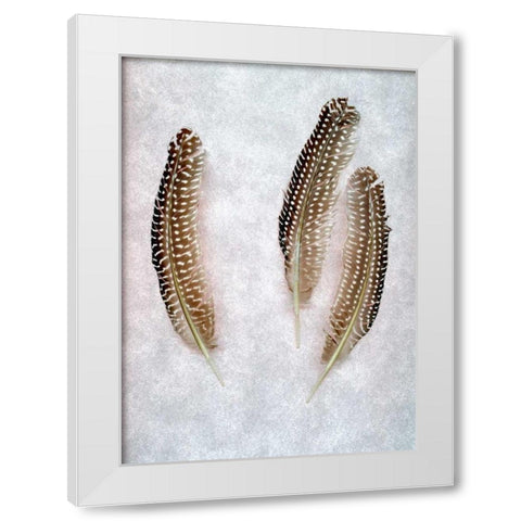 Feather - 2 White Modern Wood Framed Art Print by Blaustein, Alan