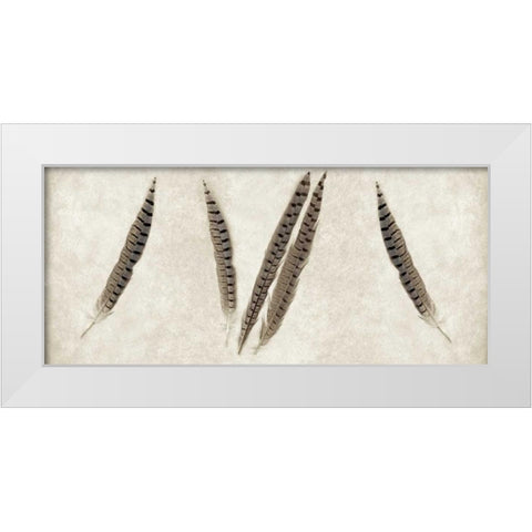 Feather Panel - 2 White Modern Wood Framed Art Print by Blaustein, Alan