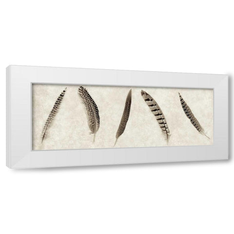 Feathers Panel - 1 White Modern Wood Framed Art Print by Blaustein, Alan