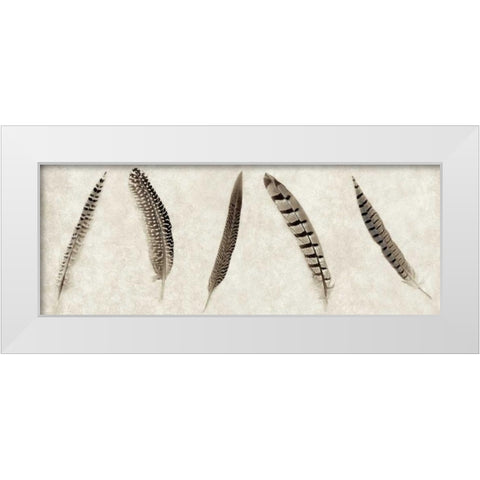 Feathers Panel - 1 White Modern Wood Framed Art Print by Blaustein, Alan