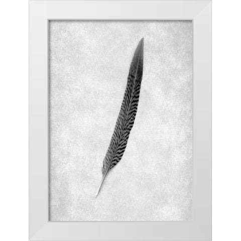 Feathers - 4 White Modern Wood Framed Art Print by Blaustein, Alan