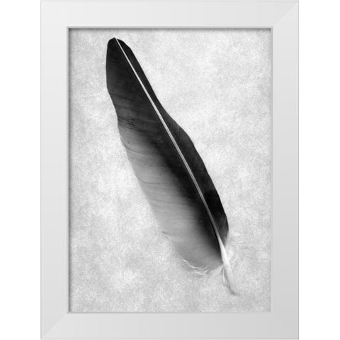 Feathers - 7 White Modern Wood Framed Art Print by Blaustein, Alan